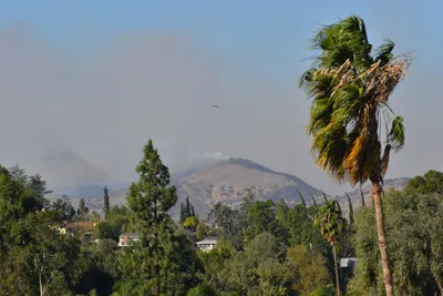 DSC_5598 (Large).JPG